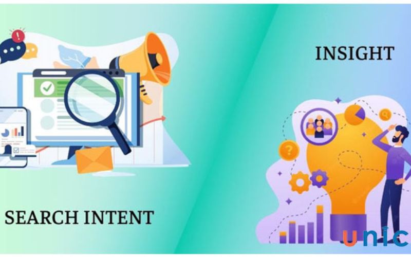 Sự khác biệt giữa search intern và insight