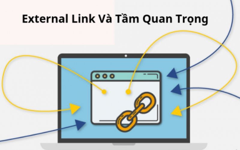 Vai trò của External link trong SEO website